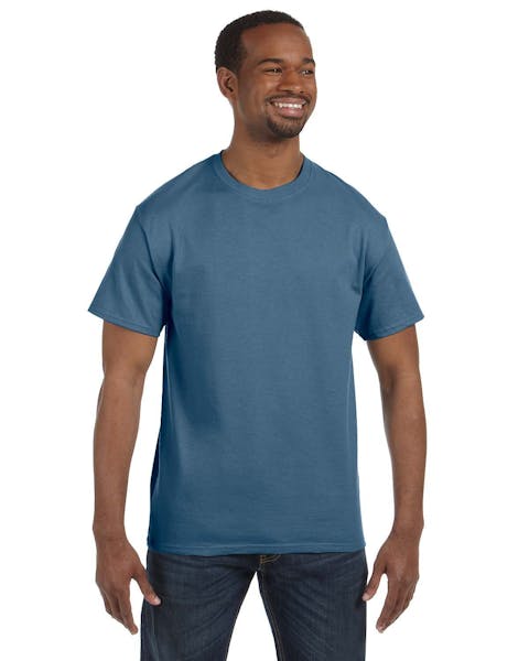 Hanes 5250T Men's Authentic-T T-Shirt