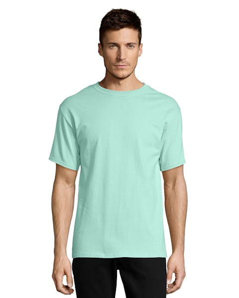 Hanes 5250T Men's Authentic-T T-Shirt