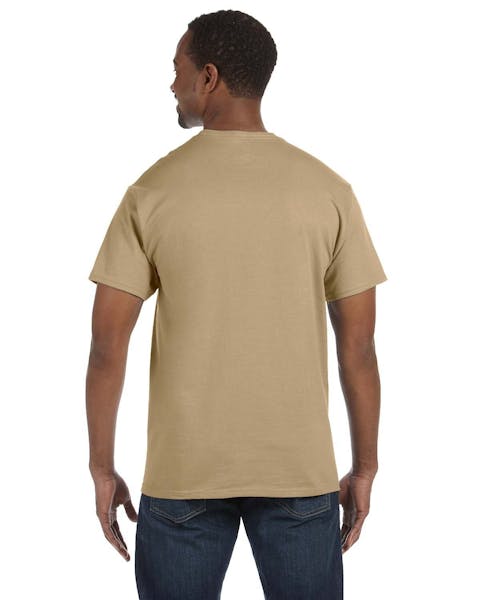 Camiseta Hanes 5250T Authentic-T para hombre