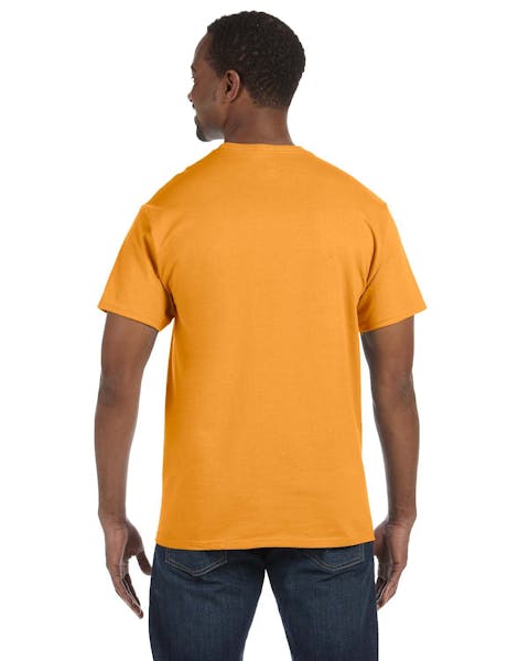 Hanes 5250T Men's Authentic-T T-Shirt