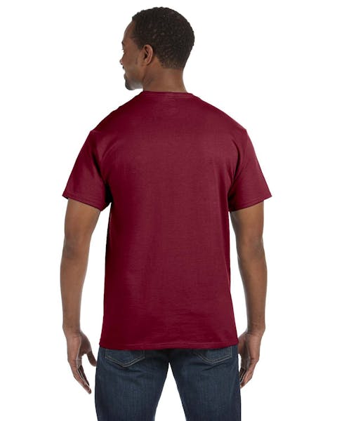 Camiseta Hanes 5250T Authentic-T para hombre