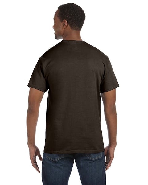 Camiseta Hanes 5250T Authentic-T para hombre