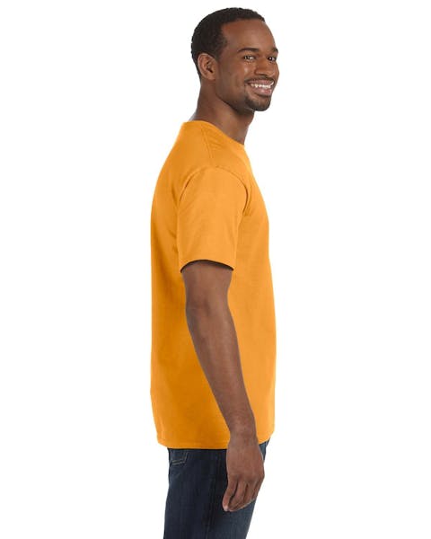 Hanes 5250T Men's Authentic-T T-Shirt