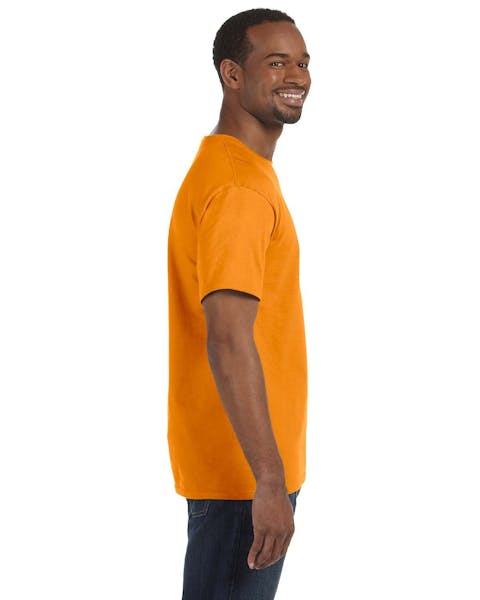 Hanes 5250T Men's Authentic-T T-Shirt