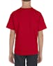 Alstyle AL3381 Youth 6.0 oz., 100% Cotton T-Shirt - Ninja Transfers